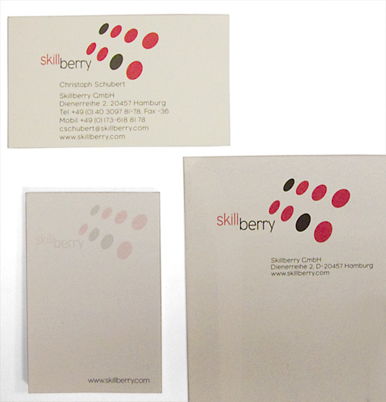 20010301-Skillberry-business-card-logo