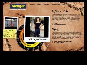 We added a feature which became popular in 2001: Hot or not – with pictures, uploaded by users wearing a wrangler jeans. 